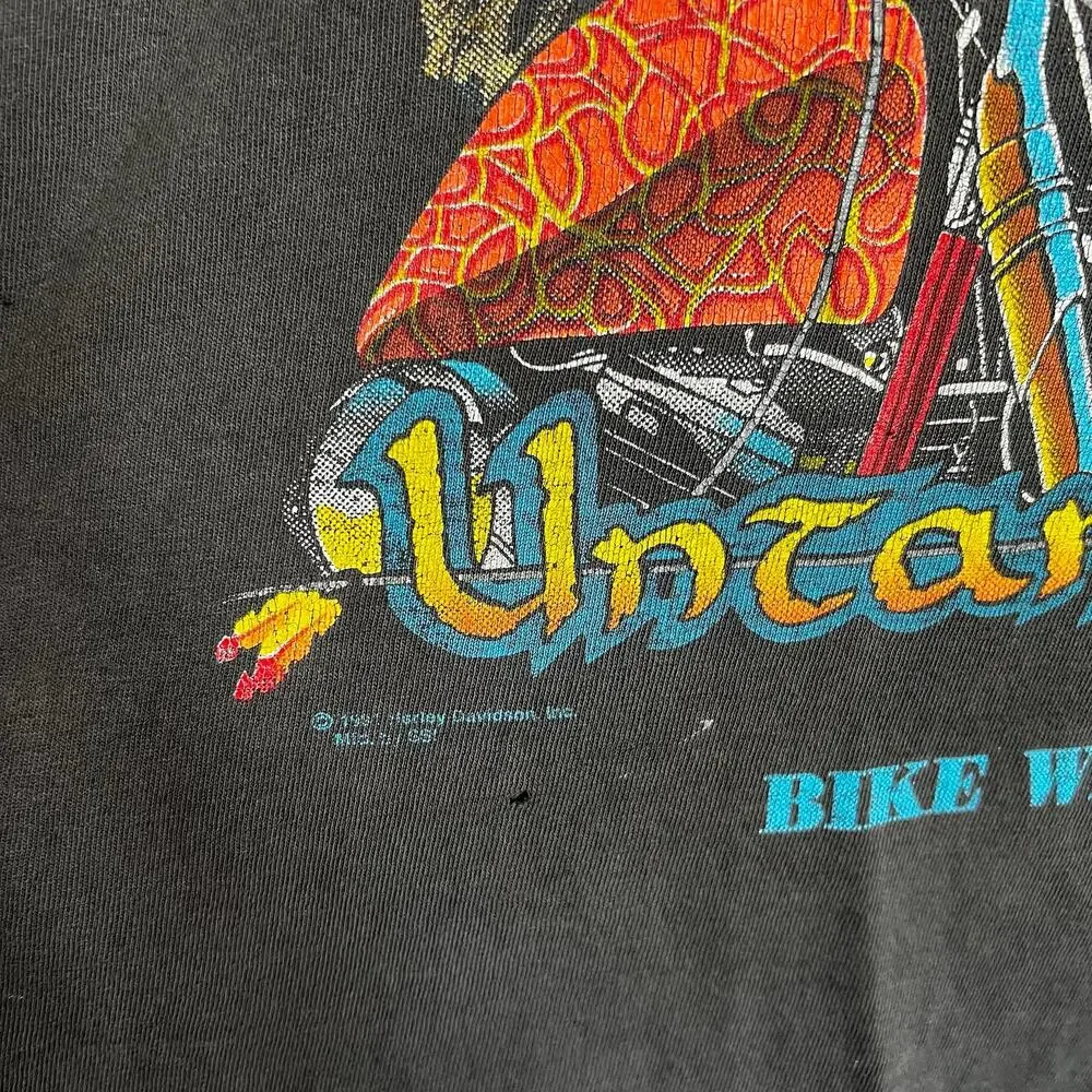 Harley Davidson THRASHED Lion T-Shirt
